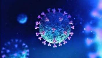Información sobre el nuevo coronavirus - 19